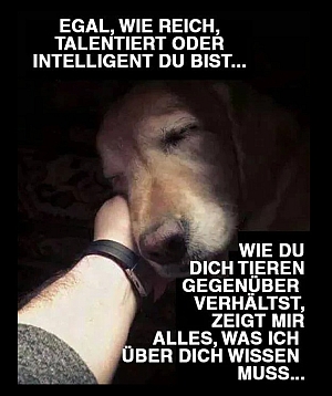 tiere+liebe